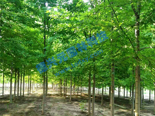 �c(di��n)���鿴Ԕ��(x��)��Ϣ��(bi��o)�}������(gu��)�t�� ��x�Δ�(sh��)��2114