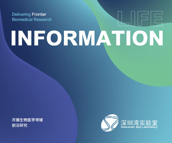 2025年南非G20峰會LOGO設計賞析