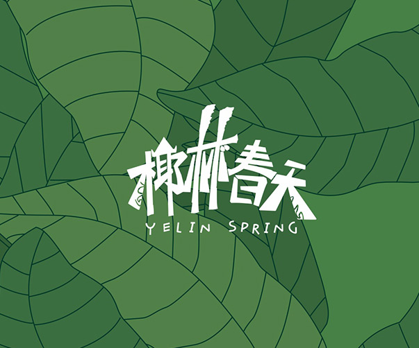 煥新之路：汽車美容品牌設(shè)計(jì)的現(xiàn)代化審美重塑