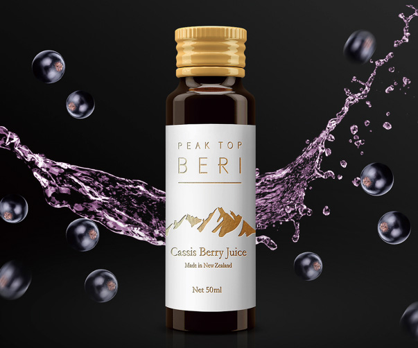 新能源汽車研究院VI設計：科技與嚴謹共舞